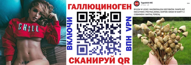 Псилоцибиновые грибы мицелий Бологое