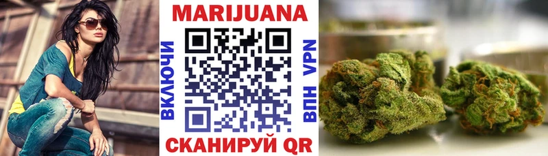 Бошки Шишки SATIVA & INDICA  цены наркотик  Бологое 